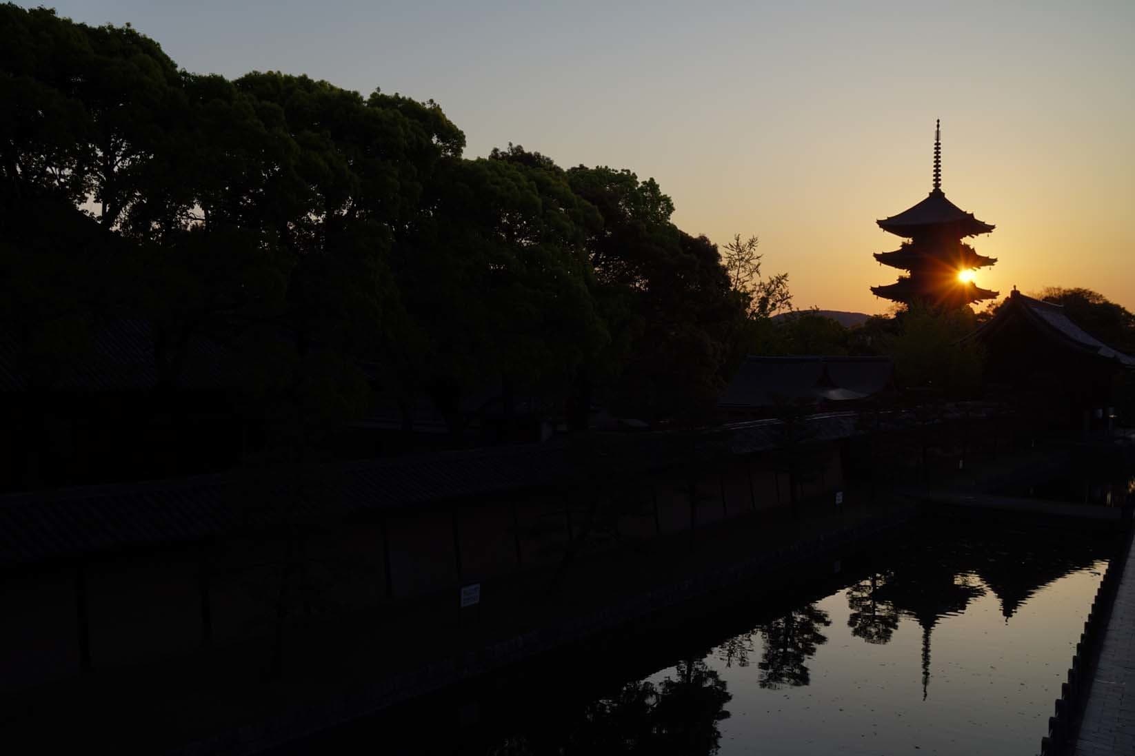 早朝の東寺